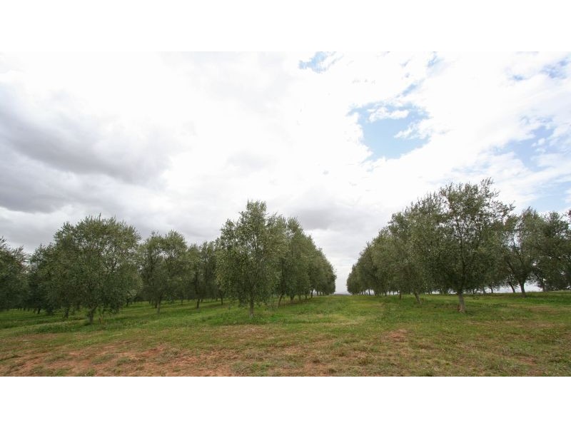 65 Squire Close, Belford NSW 2335