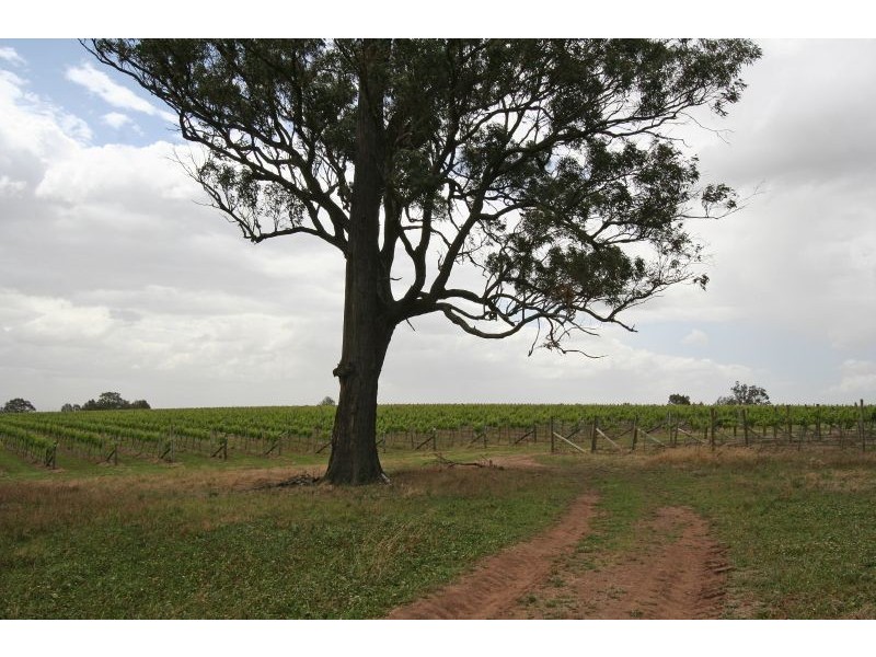 65 Squire Close, Belford NSW 2335