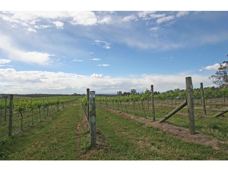 65 Squire Close, Belford NSW 2335