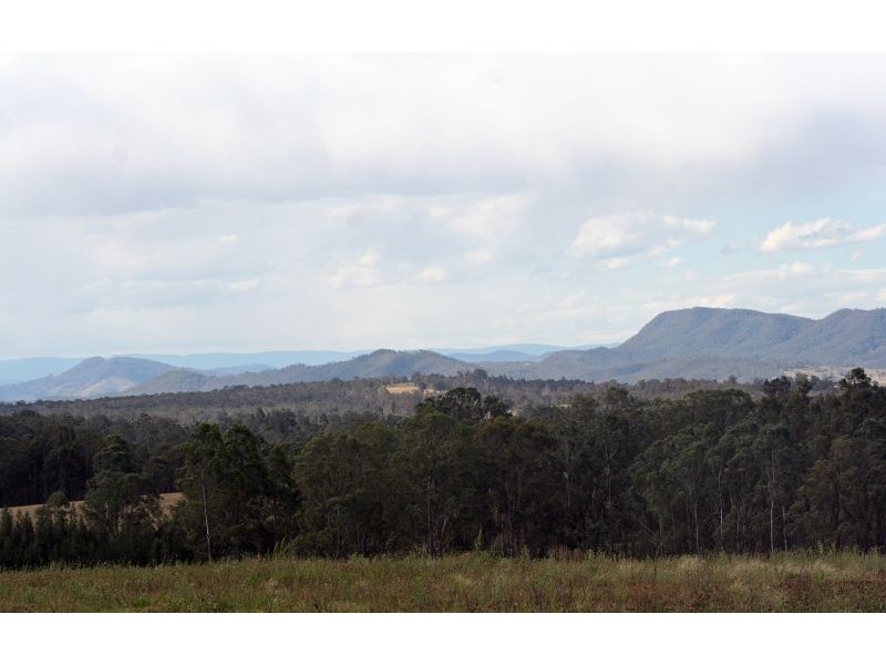 65 Squire Close, Belford NSW 2335