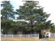 Cessnock NSW 2325