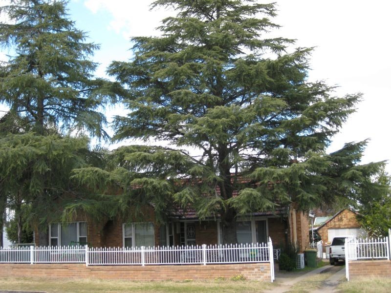 Cessnock NSW 2325