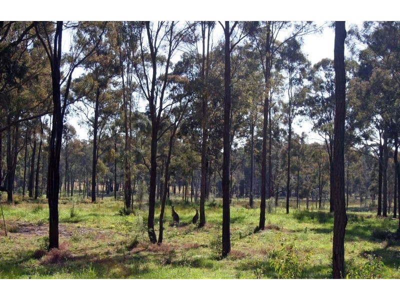 657 McDonalds Road, Pokolbin NSW 2320