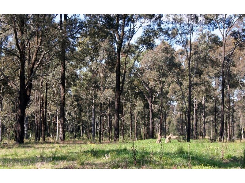 657 McDonalds Road, Pokolbin NSW 2320