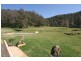 179 Fernances Crossing Road, Laguna NSW 2325