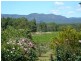 Pokolbin NSW 2320