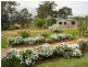 Pokolbin NSW 2320