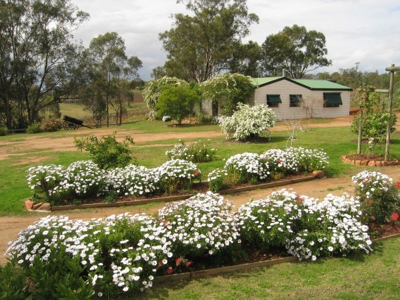 Pokolbin NSW 2320