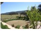 Millfield NSW 2325