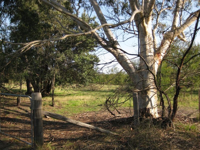 Quorrobolong NSW 2325