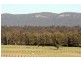 Ellalong NSW 2325