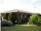Bulga NSW 2330