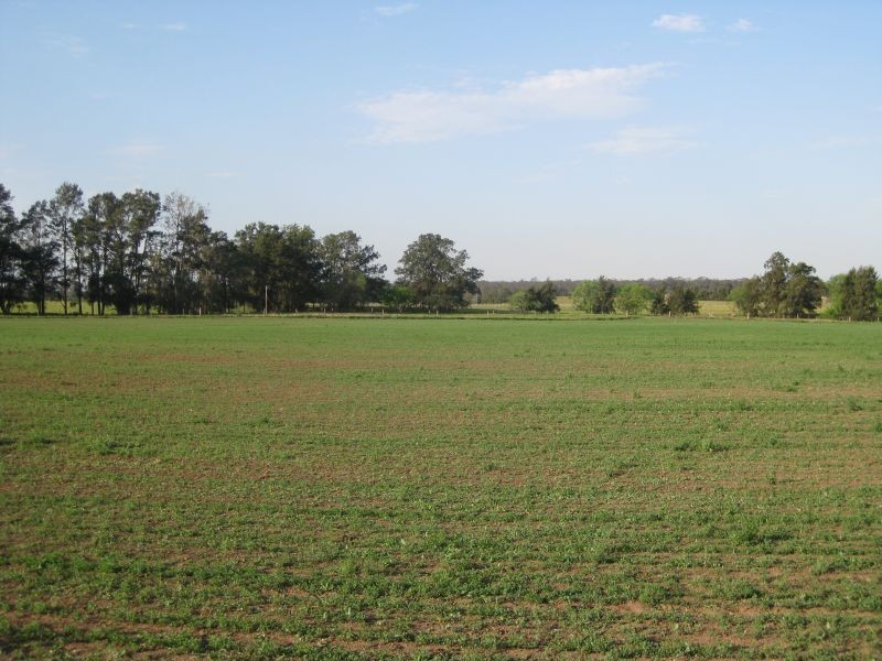 Bulga NSW 2330