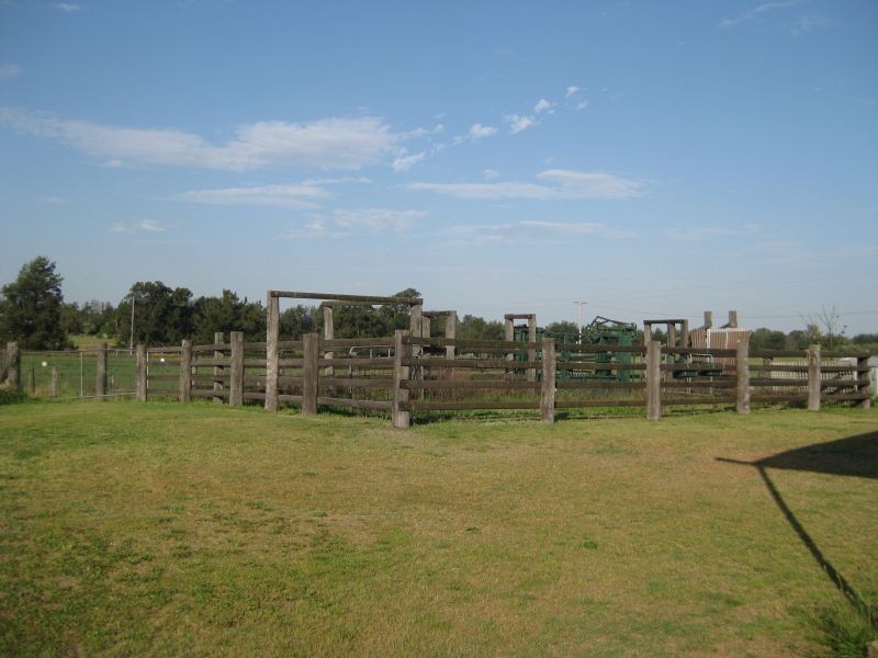 Bulga NSW 2330