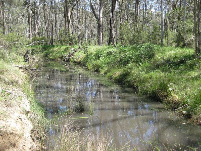 Lot 53 Wollombi Road, Millfield NSW 2325