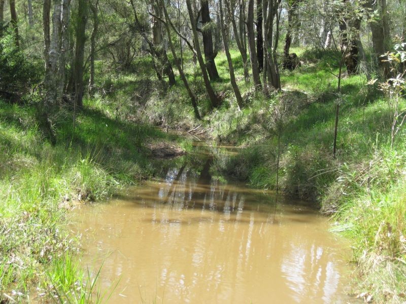Lot 53 Wollombi Road, Millfield NSW 2325