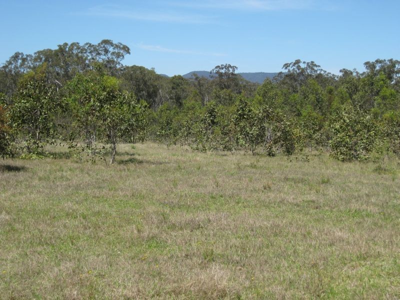 Lot 53 Wollombi Road, Millfield NSW 2325