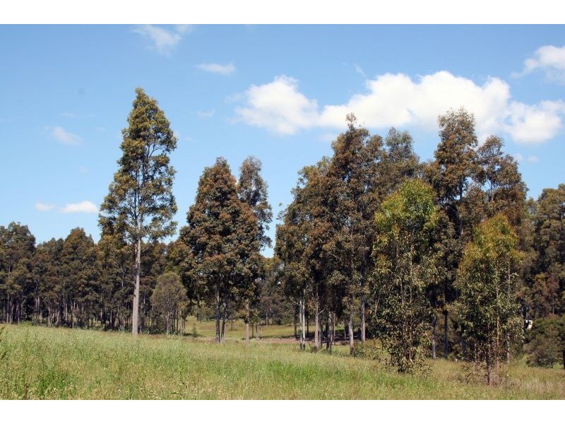 North Rothbury NSW 2335