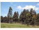 103 Wine Country Drive, North Rothbury NSW 2335