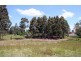 103 Wine Country Drive, North Rothbury NSW 2335