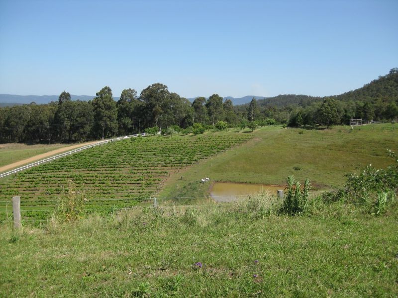 Mount View NSW 2325