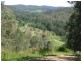 Wollombi NSW 2325