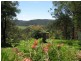Wollombi NSW 2325