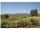 96  Mistletoe Lane, Pokolbin NSW 2320