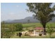 96  Mistletoe Lane, Pokolbin NSW 2320