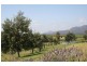 96  Mistletoe Lane, Pokolbin NSW 2320