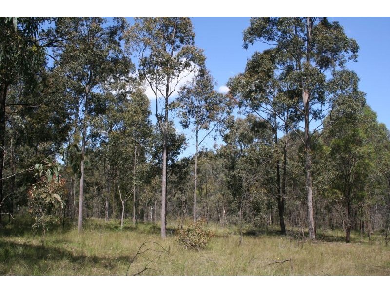 North Rothbury NSW 2335