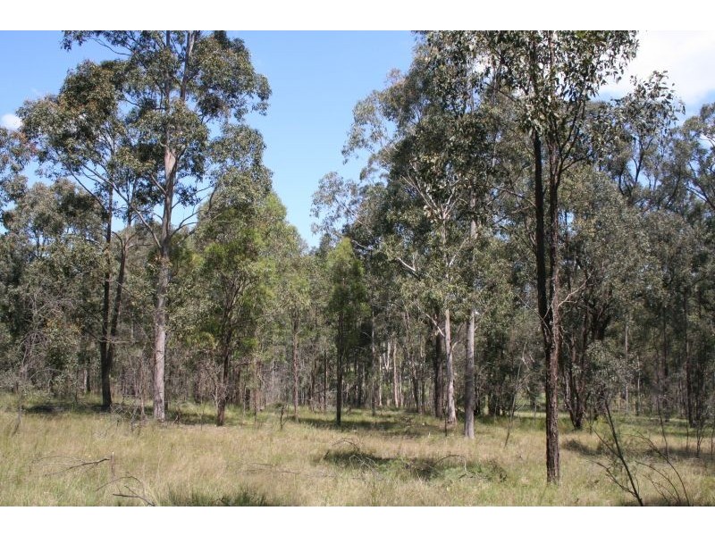 North Rothbury NSW 2335