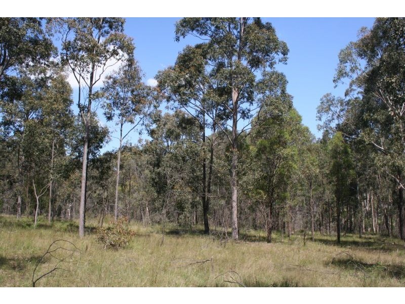 North Rothbury NSW 2335