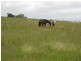 Lot 2 Wollong Road, Quorrobolong NSW 2325