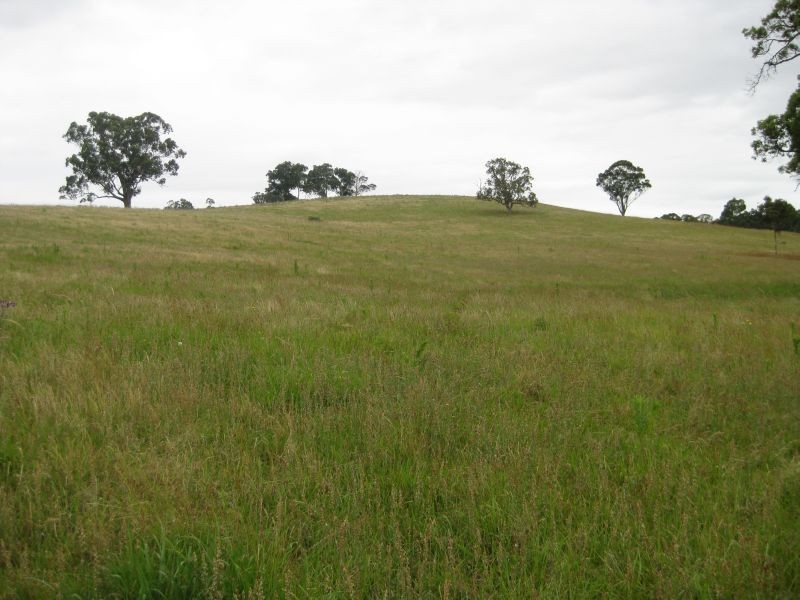 Lot 2 Wollong Road, Quorrobolong NSW 2325