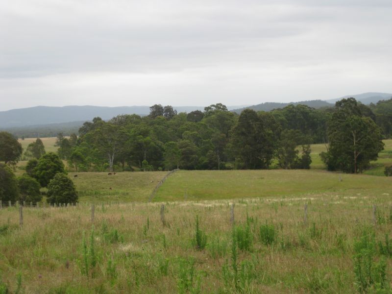 Lot 2 Wollong Road, Quorrobolong NSW 2325