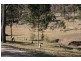 141  Camp Road, Lovedale NSW 2325