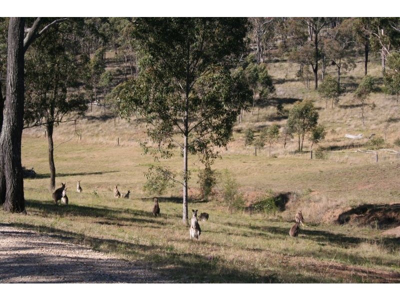 141  Camp Road, Lovedale NSW 2325