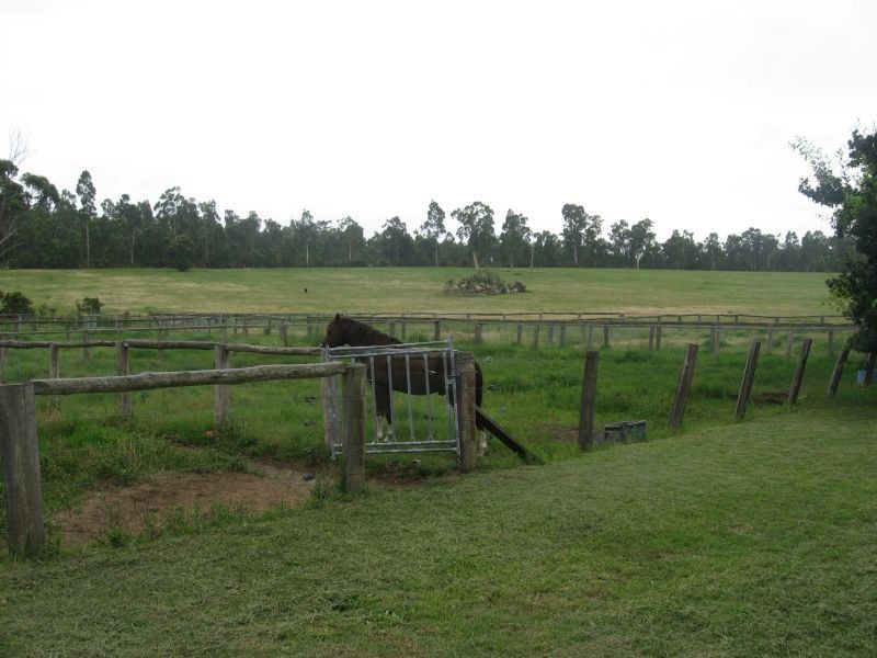 519  Bellbird Street, Kitchener NSW 2325