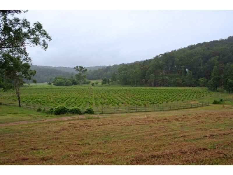 106 Blaxlands Arm Rd, Laguna NSW 2325