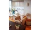 109/4 Alexandra Drive, Camperdown NSW 2050