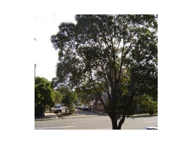 15/29-31 Johnson Street, Annandale NSW 2038