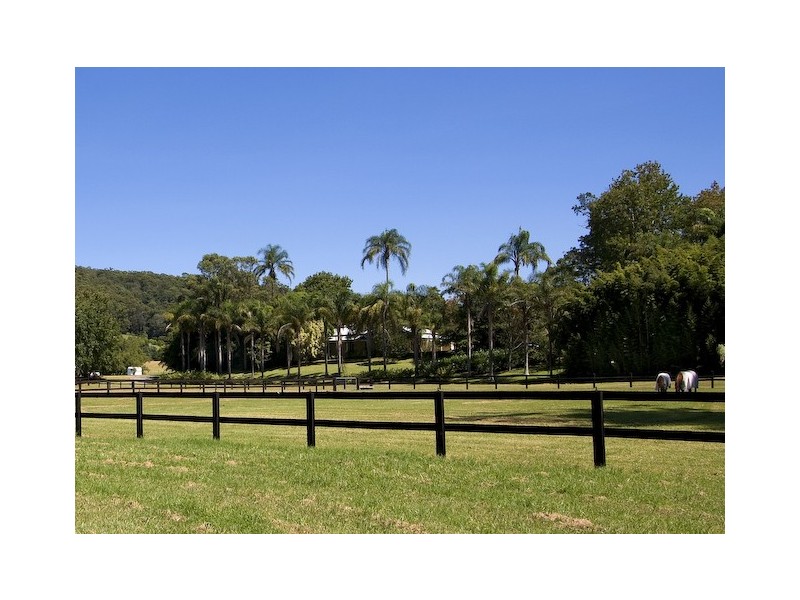 148  Palmdale Road, Palmdale NSW 2258