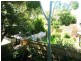 Glebe NSW 2037