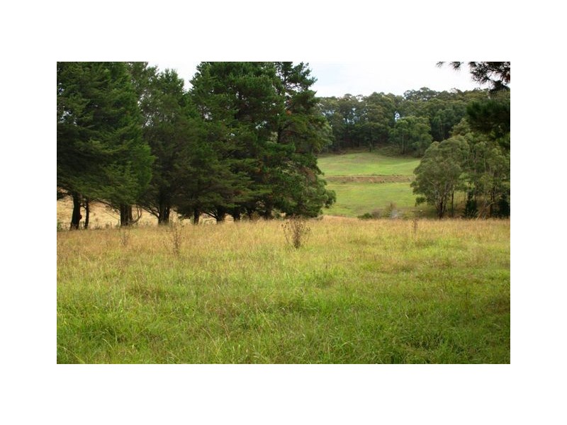 Durham Downs Durham Rd, Bundanoon NSW 2578