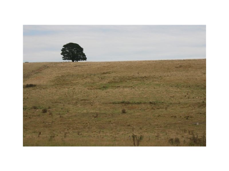 Durham Downs Durham Rd, Bundanoon NSW 2578