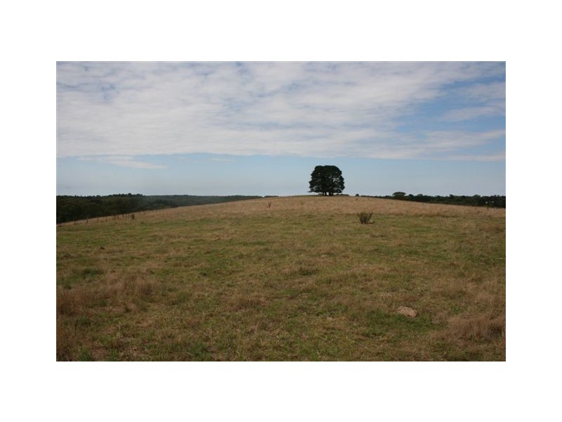 Durham Downs Durham Rd, Bundanoon NSW 2578