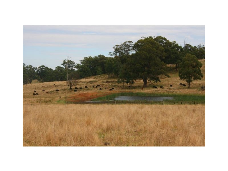 Durham Downs Durham Rd, Bundanoon NSW 2578