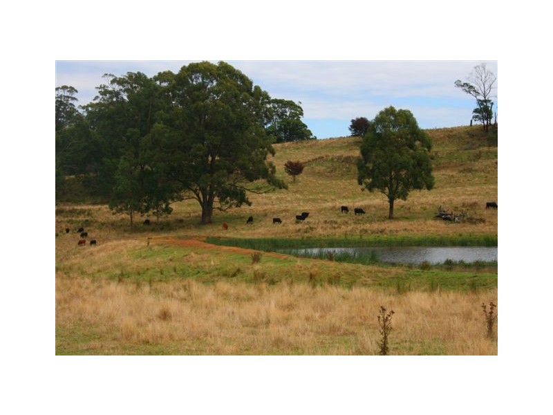 Durham Downs Durham Rd, Bundanoon NSW 2578