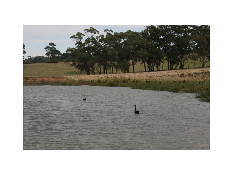 Durham Downs Durham Rd, Bundanoon NSW 2578